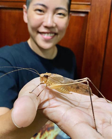 昆蟲擾西住家|「昆蟲擾西」吳沁婕：人生從來不是公平的，直到「那。